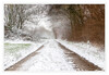 Dateiname=Winterintermezzo_03.jpg
Dateigröße=1220KB
Abmessungen: 1200x830
hinzugefügt am: 18. Januar 2021 Winterintermezzo_03.jpg