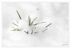 Dateiname=Winterintermezzo_05.jpg
Dateigröße=394KB
Abmessungen: 1200x829
hinzugefügt am: 24. Januar 2021 Winterintermezzo_05.jpg