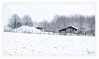 Dateiname=Winterintermezzo_A_05.jpg
Dateigröße=606KB
Abmessungen: 1200x715
hinzugefügt am: 19. Januar 2021 Winterintermezzo_A_05.jpg