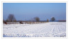 Dateiname=Winterlandschaft_01.jpg
Dateigröße=655KB
Abmessungen: 1200x719
hinzugefügt am: 11. Januar 2025 Winterlandschaft_01.jpg