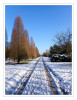 Dateiname=Winterlandschaft_03.jpg
Dateigröße=1097KB
Abmessungen: 932x1200
hinzugefügt am: 11. Januar 2025 Winterlandschaft_03.jpg