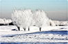 Dateiname=Wintermärchen_010_F.jpg
Dateigröße=276KB
Abmessungen: 850x548
hinzugefügt am: 01. Februar 2010 Wintermärchen_010_F.jpg