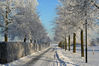 Dateiname=Wintermärchen_22.jpg
Dateigröße=333KB
Abmessungen: 850x567
hinzugefügt am: 12. Januar 2009 Wintermärchen_22.jpg