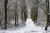 Dateiname=Wintertraum_in_Liedberg_03.jpg
Dateigröße=302KB
Abmessungen: 850x567
hinzugefügt am: 08. Januar 2010 Wintertraum_in_Liedberg_03.jpg
