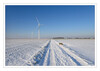 Dateiname=Winterwunderland_k_05.jpg
Dateigröße=626KB
Abmessungen: 1200x853
hinzugefügt am: 11. Februar 2021 Winterwunderland_k_05.jpg