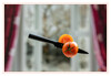 Dateiname=Z_Tomate_geschnitten_03.jpg
Dateigröße=474KB
Abmessungen: 1200x831
hinzugefügt am: 15. Januar 2023 Z_Tomate_geschnitten_03.jpg