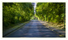 Dateiname=a2020_05_Der_Weg_01.jpg
Dateigröße=1081KB
Abmessungen: 1200x713
hinzugefügt am: 14. Mai 2020 a2020_05_Der_Weg_01.jpg