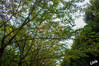 Dateiname=a2022_10_Herbstlich.jpg
Dateigröße=1721KB
Abmessungen: 1200x802
hinzugefügt am: 02. Oktober 2022 a2022_10_Herbstlich.jpg
