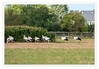 Dateiname=a3Stoerche_auf_dem_Feld_22.jpg
Dateigröße=852KB
Abmessungen: 1200x836
hinzugefügt am: 30. August 2020 a3Stoerche_auf_dem_Feld_22.jpg