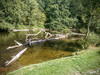 Dateiname=a4.JPG
Dateigröße=431KB
Abmessungen: 1040x780
hinzugefügt am: 11. September 2020 a4.JPG