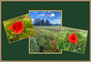 Dateiname=aCollage_Blumen_Elise.jpg
Dateigröße=1039KB
Abmessungen: 1600x1089
hinzugefügt am: 09. Juni 2024 aCollage_Blumen_Elise.jpg