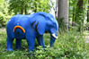Dateiname=aElefant_Roland.jpg
Dateigröße=1173KB
Abmessungen: 1200x800
hinzugefügt am: 09. Juni 2024 aElefant_Roland.jpg