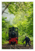 Dateiname=aFeldbahnmuseum_Oekoven_Der_Zug_faehrt_104.jpg
Dateigröße=1336KB
Abmessungen: 829x1200
hinzugefügt am: 06. Juni 2024 aFeldbahnmuseum_Oekoven_Der_Zug_faehrt_104.jpg