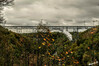 Dateiname=aIMG_0353.jpg
Dateigröße=835KB
Abmessungen: 1200x800
hinzugefügt am: 07. Oktober 2020 aIMG_0353.jpg