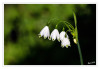 Dateiname=aMaerzenbecher_02.jpg
Dateigröße=558KB
Abmessungen: 1200x832
hinzugefügt am: 11. April 2025 aMaerzenbecher_02.jpg