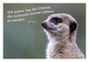 Dateiname=a_Krefelder_Zoo.jpg
Dateigröße=749KB
Abmessungen: 1200x828
hinzugefügt am: 04. November 2022 a_Krefelder_Zoo.jpg