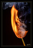 Dateiname=a_Pusteblume.jpg
Dateigröße=614KB
Abmessungen: 838x1200
hinzugefügt am: 18. April 2024 a_Pusteblume.jpg