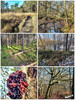 Dateiname=a_birgeler_urwald.jpg
Dateigröße=1860KB
Abmessungen: 900x1200
hinzugefügt am: 04. Dezember 2023 a_birgeler_urwald.jpg
