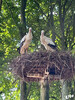 Dateiname=aa145c8b60-64c4-4113-a0d1-16d06f99812e.JPG
Dateigröße=628KB
Abmessungen: 768x1024
hinzugefügt am: 19. Juli 2022 aa145c8b60-64c4-4113-a0d1-16d06f99812e.JPG