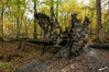 Dateiname=aa8a5b89f-d055-4b8d-8322-641ea96175a1.JPG
Dateigröße=1104KB
Abmessungen: 1200x800
hinzugefügt am: 01. November 2020 aa8a5b89f-d055-4b8d-8322-641ea96175a1.JPG