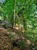 Dateiname=ace74bf89-a5b8-4dbf-aaad-1ca5d98e4cb4.JPG
Dateigröße=1497KB
Abmessungen: 960x1280
hinzugefügt am: 25. August 2022 ace74bf89-a5b8-4dbf-aaad-1ca5d98e4cb4.JPG