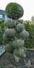 Dateiname=ad7a154c0-3c2b-4d17-9705-a0528d059ba9.JPG
Dateigröße=830KB
Abmessungen: 604x1200
hinzugefügt am: 05. Dezember 2020 ad7a154c0-3c2b-4d17-9705-a0528d059ba9.JPG