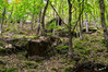 Dateiname=aedc6bb41-c75d-40c3-9e50-ac9707fd6fb8.JPG
Dateigröße=1170KB
Abmessungen: 1200x800
hinzugefügt am: 03. Oktober 2020 aedc6bb41-c75d-40c3-9e50-ac9707fd6fb8.JPG