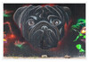 Dateiname=bN_Graffiti_Paul_01.jpg
Dateigröße=906KB
Abmessungen: 1200x830
hinzugefügt am: 25. September 2020 bN_Graffiti_Paul_01.jpg