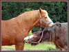 Dateiname=ba-r-k-P1010538.jpg
Dateigröße=1171KB
Abmessungen: 1200x914
hinzugefügt am: 23. März 2021 ba-r-k-P1010538.jpg
