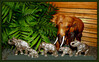 Dateiname=ba-r-k-P1060881.jpg
Dateigröße=1093KB
Abmessungen: 1200x749
hinzugefügt am: 26. Januar 2022 ba-r-k-P1060881.jpg