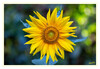 Dateiname=bb.jpg
Dateigröße=715KB
Abmessungen: 1200x832
hinzugefügt am: 25. August 2020 bb.jpg