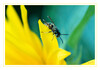 Dateiname=bbIMG_4401.jpg
Dateigröße=581KB
Abmessungen: 1200x841
hinzugefügt am: 25. August 2020 bbIMG_4401.jpg