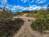Dateiname=c03fe9e1-27fe-4daa-9e47-44e651bd8175.jpg
Dateigröße=990KB
Abmessungen: 1280x961
hinzugefügt am: 25. Oktober 2022 c03fe9e1-27fe-4daa-9e47-44e651bd8175.jpg