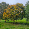 Dateiname=chris_1~1.JPG
Dateigröße=2003KB
Abmessungen: 1200x1200
hinzugefügt am: 12. Oktober 2025 chris_1~1.JPG