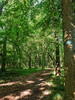 Dateiname=dSchattiges_Waldplaetzchen_Manni.jpg
Dateigröße=1956KB
Abmessungen: 900x1200
hinzugefügt am: 30. Juni 2024 dSchattiges_Waldplaetzchen_Manni.jpg