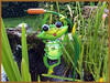 Dateiname=dTeichfrosch_Elise.jpg
Dateigröße=1522KB
Abmessungen: 1400x1054
hinzugefügt am: 30. Juni 2024 dTeichfrosch_Elise.jpg