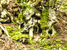Dateiname=e26396a0d7d34ef4ad9566cfad2f08d1.jpeg
Dateigröße=1437KB
Abmessungen: 1200x898
hinzugefügt am: 24. August 2023 e26396a0d7d34ef4ad9566cfad2f08d1.jpeg