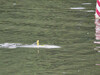 Dateiname=eU-Boot_28Modellbau29_Gerd.jpg
Dateigröße=1239KB
Abmessungen: 1200x900
hinzugefügt am: 30. Juni 2024 eU-Boot_28Modellbau29_Gerd.jpg