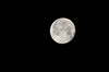 Dateiname=frei_Perla_Blue_Moon.jpg
Dateigröße=122KB
Abmessungen: 1200x795
hinzugefügt am: 23. August 2024 frei_Perla_Blue_Moon.jpg