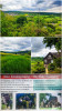 Dateiname=manni1~7.JPG
Dateigröße=926KB
Abmessungen: 675x1200
hinzugefügt am: 19. Mai 2026 manni1~7.JPG