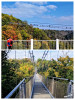 Dateiname=manni_2~12.JPG
Dateigröße=1079KB
Abmessungen: 901x1200
hinzugefügt am: 30. September 2025 manni_2~12.JPG