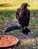 Dateiname=manni_3~15.JPG
Dateigröße=1240KB
Abmessungen: 930x1200
hinzugefügt am: 04. Oktober 2025 manni_3~15.JPG