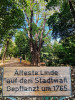 Dateiname=manni_4~0.JPG
Dateigröße=1443KB
Abmessungen: 900x1200
hinzugefügt am: 17. September 2025 manni_4~0.JPG