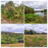 Dateiname=manni_4~8.JPG
Dateigröße=1525KB
Abmessungen: 1200x1200
hinzugefügt am: 25. September 2025 manni_4~8.JPG