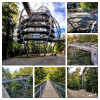 Dateiname=manni_4~9.JPG
Dateigröße=1515KB
Abmessungen: 1200x1200
hinzugefügt am: 26. September 2025 manni_4~9.JPG