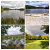 Dateiname=manni_5~7.JPG
Dateigröße=1391KB
Abmessungen: 1200x1200
hinzugefügt am: 25. September 2025 manni_5~7.JPG