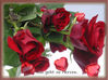 Dateiname=rote_Rosen_3_Kopie.jpg
Dateigröße=250KB
Abmessungen: 900x673
hinzugefügt am: 20. Dezember 2006 rote_Rosen_3_Kopie.jpg