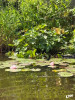 Dateiname=ute3~1.JPG
Dateigröße=1187KB
Abmessungen: 900x1200
hinzugefügt am: 02. Juli 2026 ute3~1.JPG