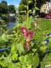 Dateiname=ute5~3.JPG
Dateigröße=1078KB
Abmessungen: 900x1200
hinzugefügt am: 04. Juli 2026 ute5~3.JPG