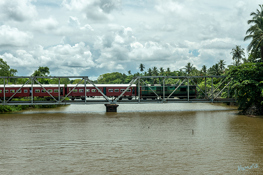 Zwischen Ahungalla und Galle
Fahrtimpressionen
Schlüsselwörter: Sri Lanka,   Galle